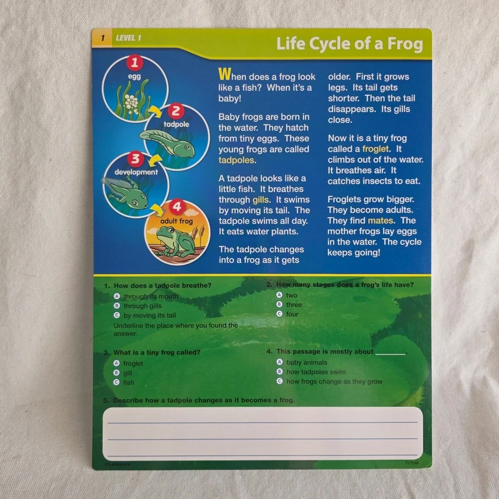 Lakeshore Nonfiction Reading Comprehension Cards Grades 1-2 90 Card Set NWOT